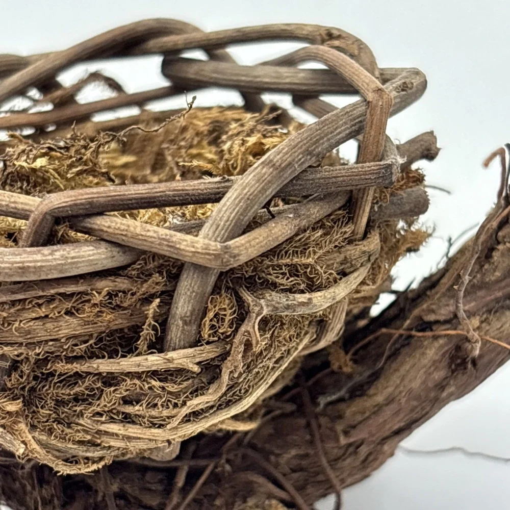 Bird nest  Garden decorations, home, floral accent, crafts, center piece